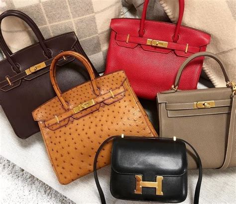 why is hermes so popular|Hermes can usually be found.